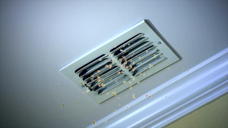 Best Best Air Duct Cleaning Company  in Point Of Rocks, MD